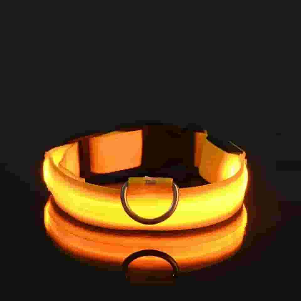 Coleira LED para Cães Recarregável por USB – Ajustável, Visível à Noite, Alta Segurança para Passeios (Amarelo, P)