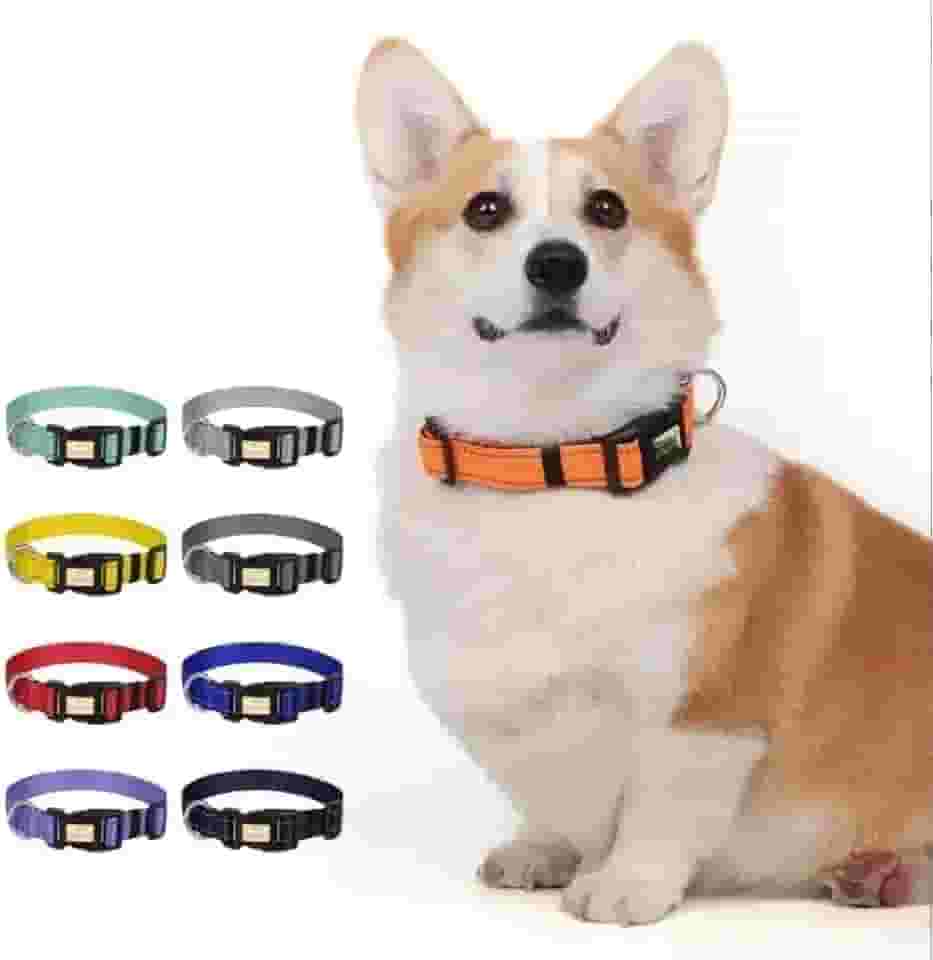 Coleira refletiva ajustável de nylon com fivela para cães grandes, laranja G