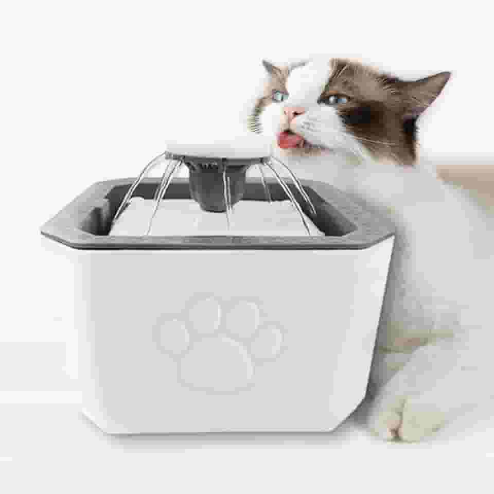 Bebedouro Automático Fonte de Água Elétrica Gatos Cães Silencioso Filtro Carvão Ativado 2.5L