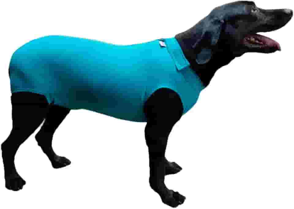 Roupa Pós Cirúrgica Pet Para Castração de Cachorro Tecido Dry Fit Com Proteção Solar UV 50+ (Azul Específica Castração Macho, 6)
