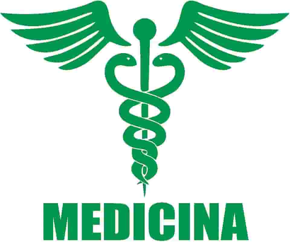 Adesivo Profissão Medicina para Estudantes e Médicos Ideal para notebook carro portas vidros Paredes vários tamanhos (VERDE, 12X10cm)