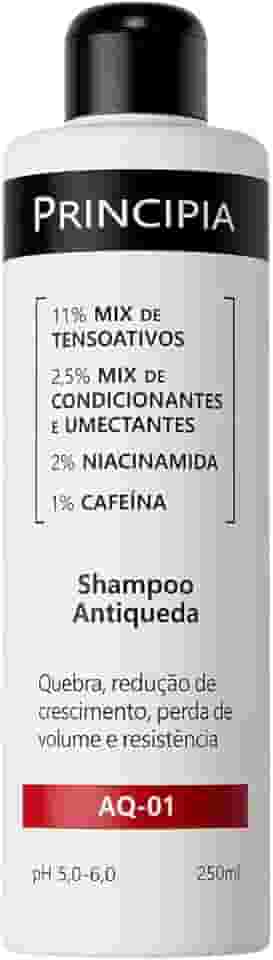 SHAMPOO ANTIQUEDA PRINCIPIA