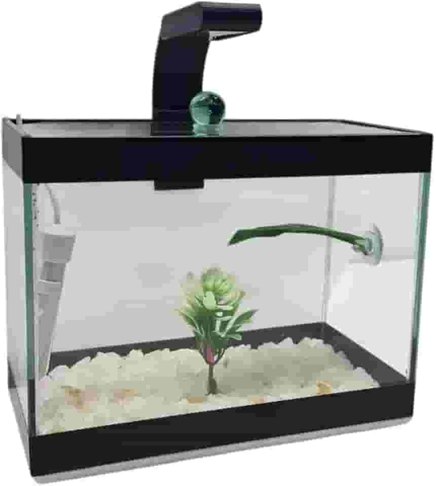 AquáRio Completo Para Peixes Betta Com Luzes, Aquecedores, Pedras E Acabamentos Internos Premium(Branca)