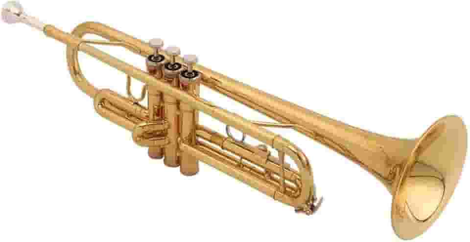 Trompete c/Estojo SFT6418L Shelter