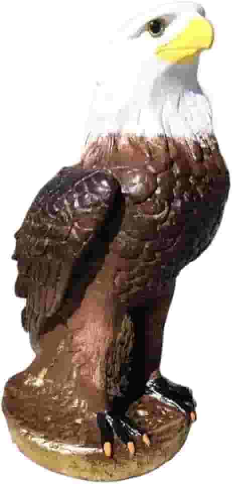 Decoração Gavião Aguia De Gesso Estátua Espanta Pombo Pássaro Para Jardim Fazenda Telhado Muro,36X18cm(Marrom)
