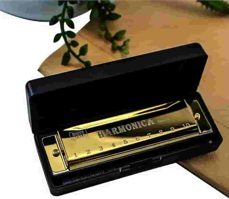 Gaita de Boca Harmônica 10 Furos em Dó (C) – Harmonica para Inicantes