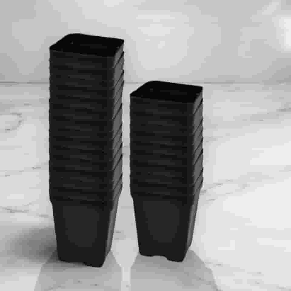 Kit 50 Vasos Quadrados Tamanho 9 Modelo 7x8cm de 200ml Plástico para Suculentas e Jardim
