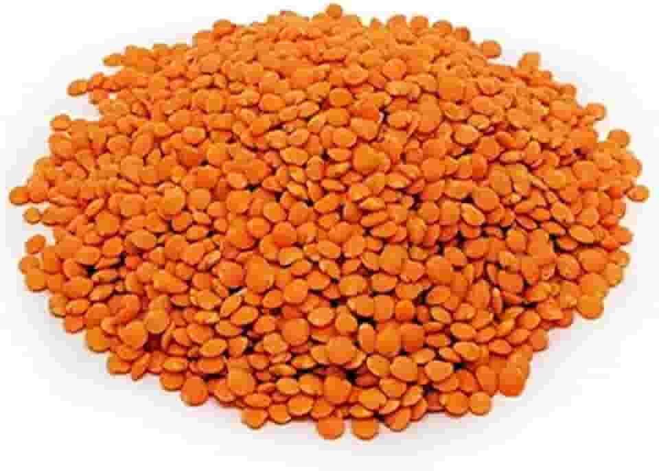 Lentilha Canadense Vermelha 100g Wenutri