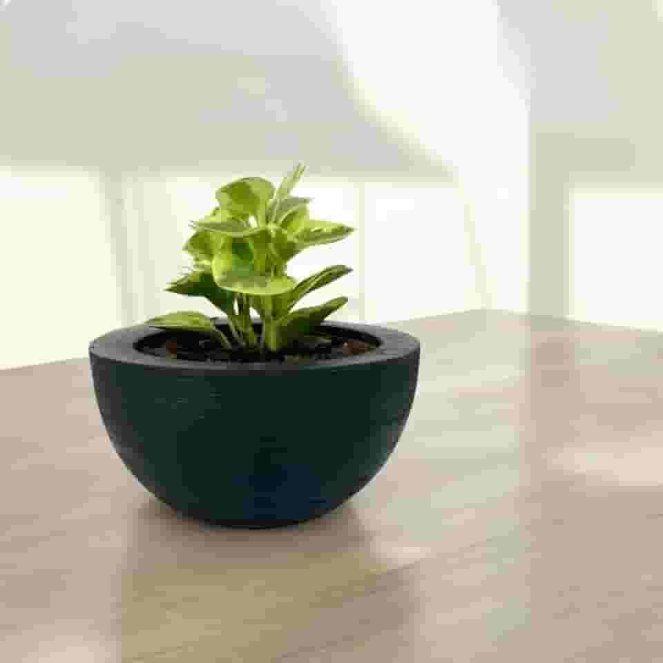 Vaso Decorativo Cuia Bacia Polietileno Suculenta Cactos 26cm (PRETO)