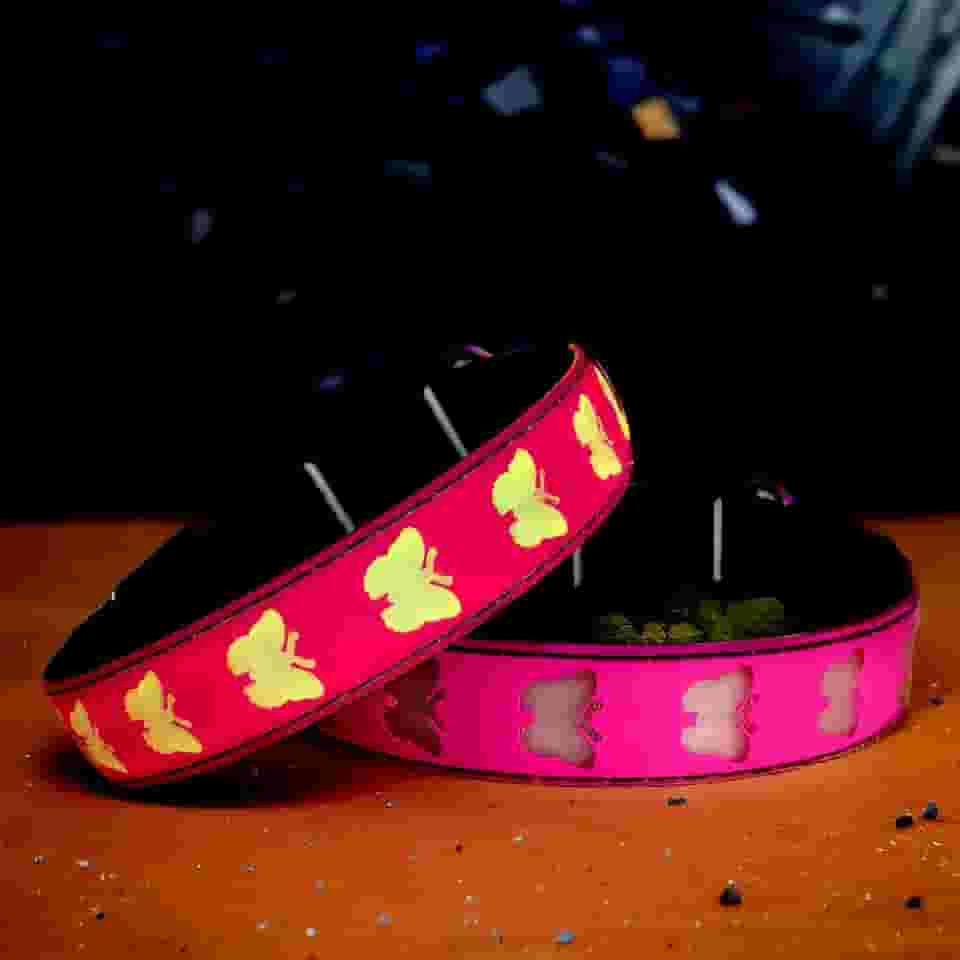 Coleira de cachorro com luz de LED USB-C, design 3D confortável e macio, iluminação multicolorida, coleira noturna para cães (BT-PING, PP (20 a 30 cm)