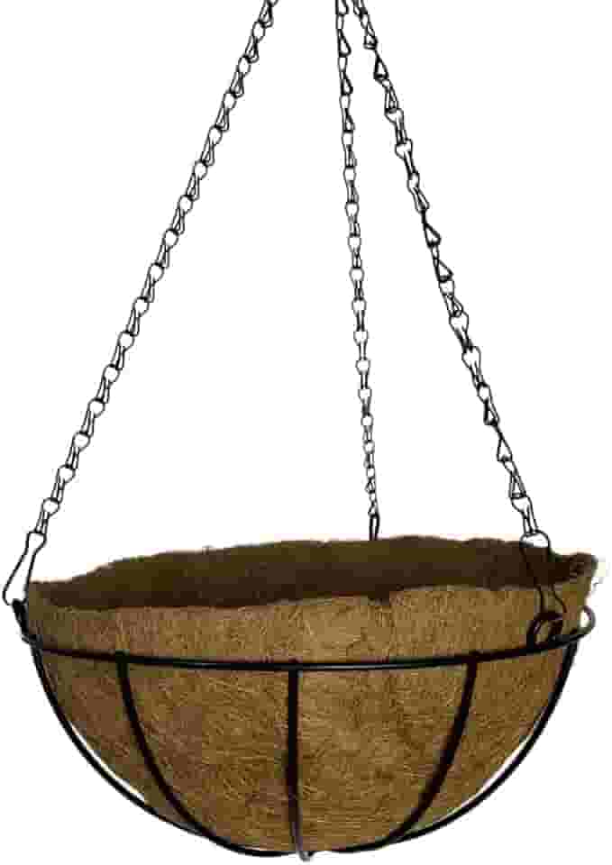 Vaso de Fibra de Coco 20cm de Plantas Suspenso com Corrente (1, 20cm)