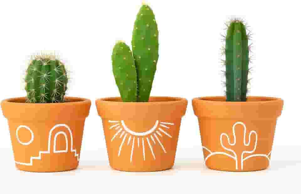 Kit 3 Vasos de Barro Estilo Sertão – Ideal para Cactos e Suculentas