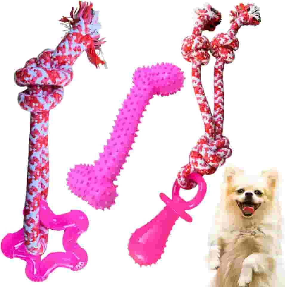 kit 3 Brinquedo mordedor para cachorros pequenos chupeta ossinho com corda pet filhotes (Rosa)