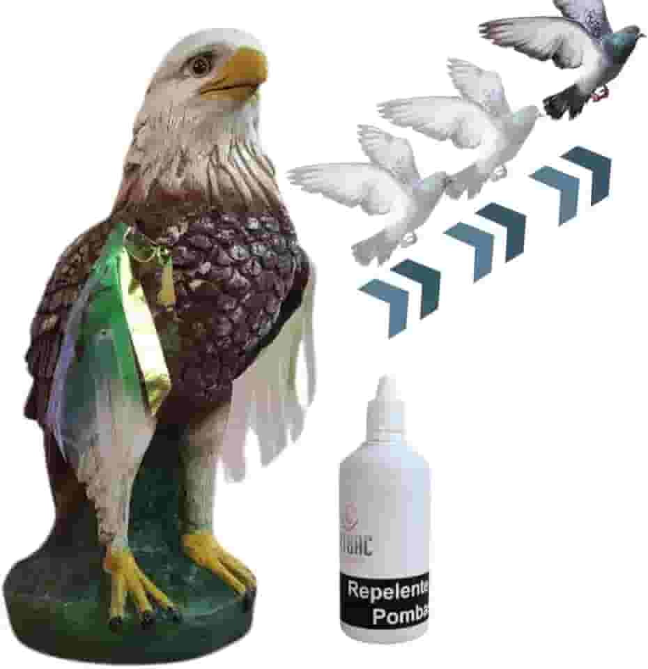 Espanta Pombos de Telhado Realista com Odor de Águia, Repelente Incluso, Peça em Resina Premium, 37 cm