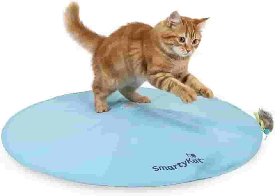 SmartyKat Hot Pursuit Brinquedo eletrônico de movimento oculto para gatos, alimentado por bateria - azul, tamanho único