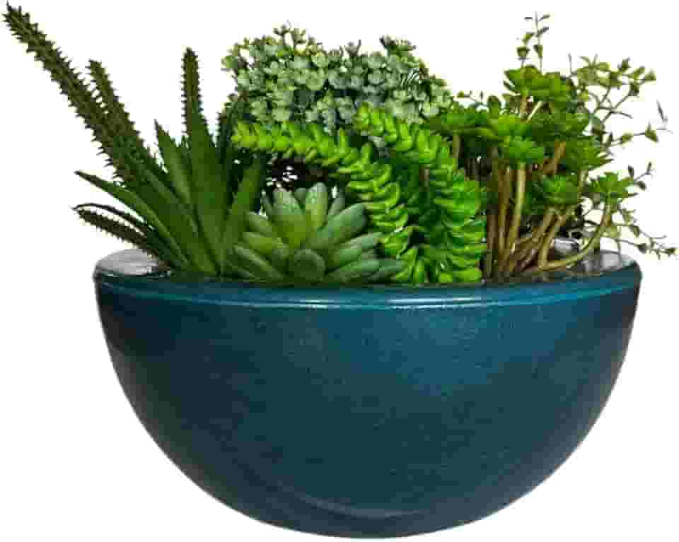 Vaso Bacia Cuia Planta Decorativa Suculentas Rosa Do Deserto (Azul Petróleo)