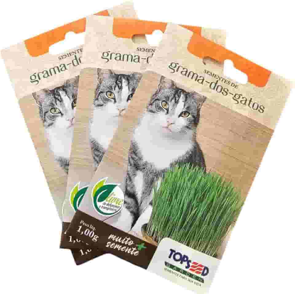 KIT 5 Sementes Grama De Gato Grama Pet Felino Complemento Alimentar