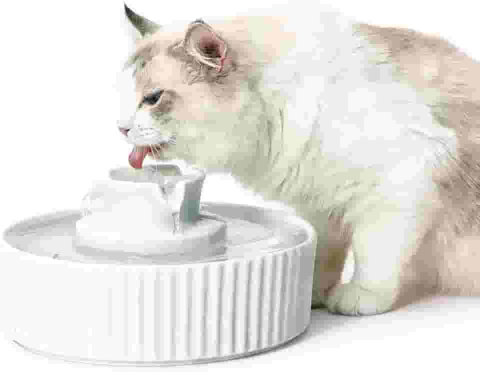 Cepheus Fonte de água para gatos de cerâmica 360, fonte de água avançada de porcelana para gatos, 200 ml. Tigela de bebedouro para gatos e cães com filtros de substituição e espuma (branca)