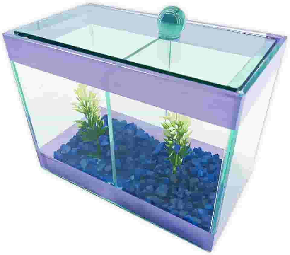 Aquário Beteira Dupla Decorado 17x9x13 1,9L 2 Peixes Betas (Roxo Lilas)