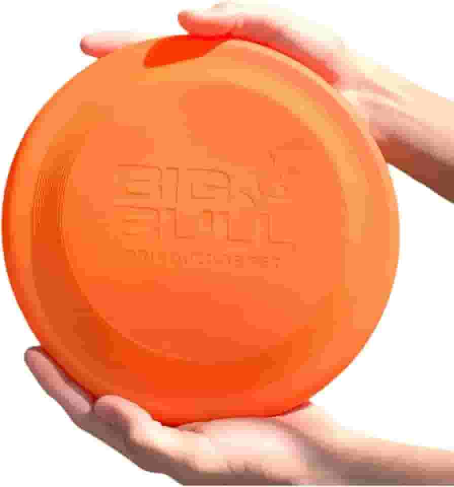 Frisbee para Cães, Brinquedo Atóxico, Resistente ao Sol e Calor, Disco Grande, Laranja (Laranja)