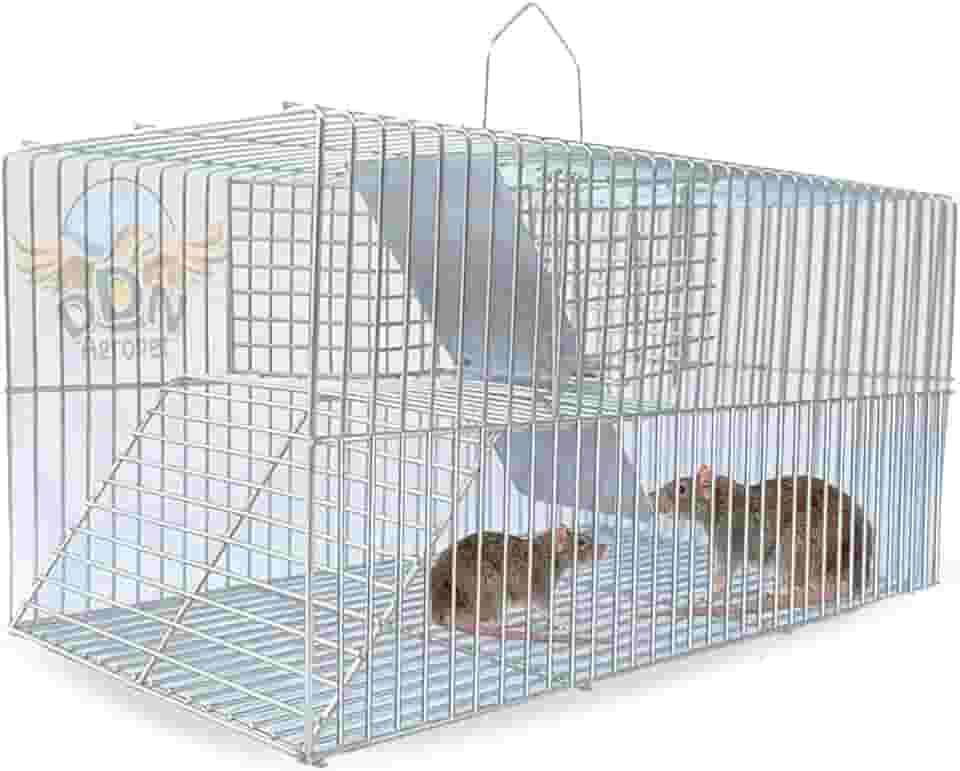 Gaiola Ratoeira Armadilha Pegar Rato Camundongo Fundo Falso