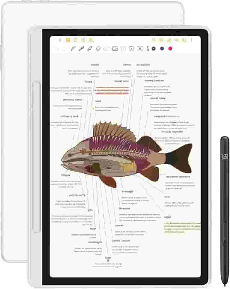 XPPen Magic Note Pad: Leitor de E-books + Tablet Android 14 + Caderno Digital, 10.95 Polegadas, 6GB+128GB, WiFi, Bateria 8000mAh, Tablet de Papel Original/Tinta/Cor com Caneta 16K Passiva