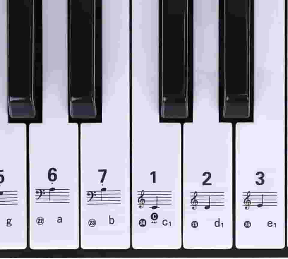 Adesivo Para Teclado Musical Com Notas Para Iniciantes