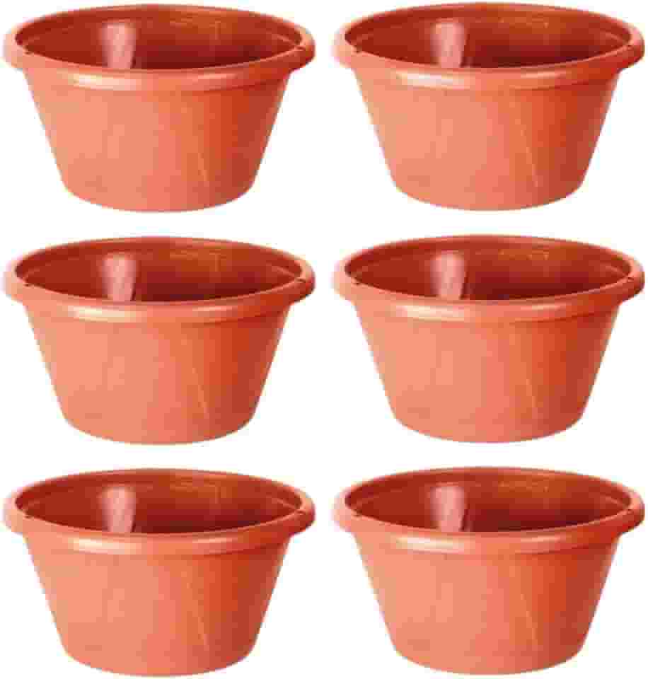 Kit 6 Vaso/cuia De Plástico Terracota Resistente Com Prato Antidengue Cuia 22 Nobre Cerâmica Para Rosa do Deserto…