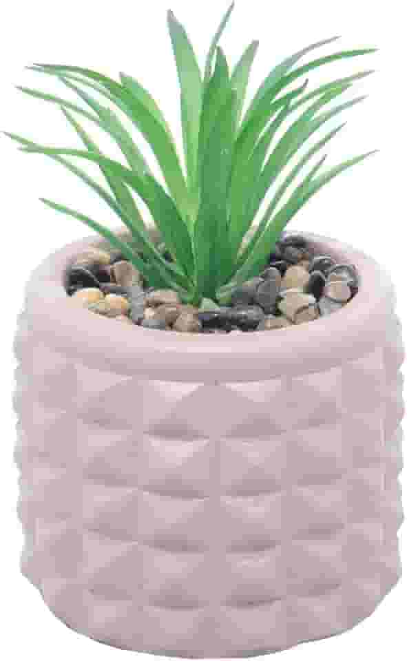 WOLFF - Cachepot de Cimento com Suculenta Spikes Marrom 7,5cm x 11cm