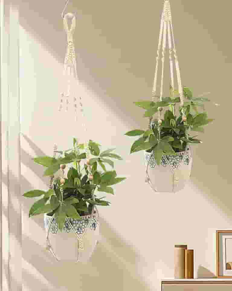2 cabides para plantas de macramê, cesta interna de cabides de plantas, para decoração de casa boho interna, branco (vasos não incluídos)