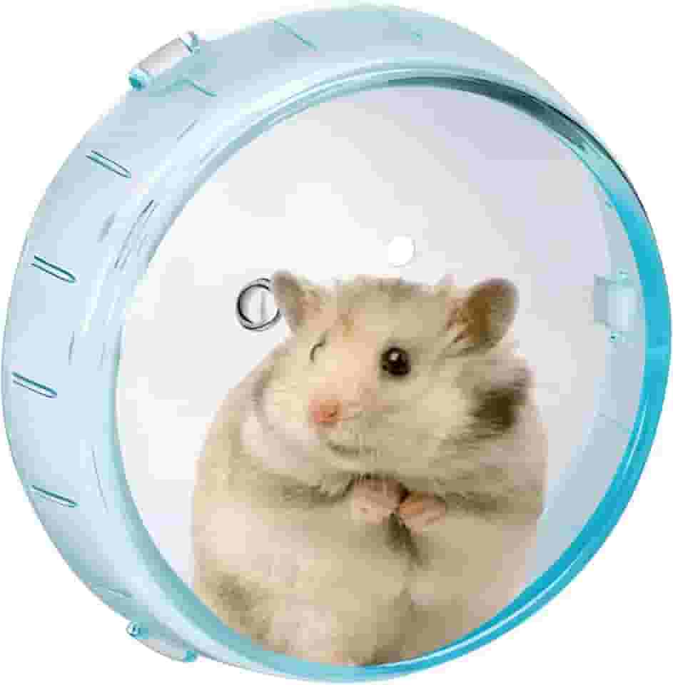 Roda de exercícios para hamster de 4,7 polegadas – anexável à gaiola, roda de corrida de plástico durável para animais pequenos de 12 cm para hamsters/gerbos (azul)