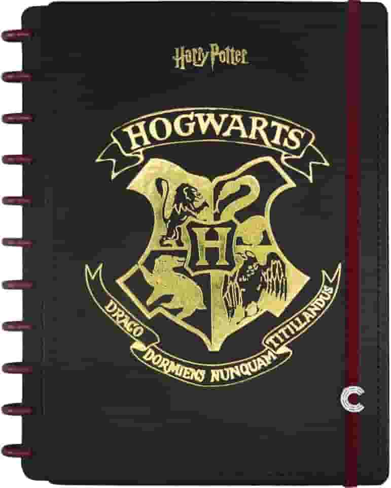 Caderno Inteligente, Grande, Harry Potter, 200x275 mm, 80 Folhas