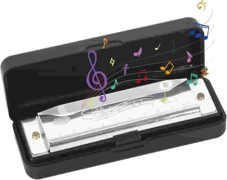 Gaita C maior de 10 furos com capa, para iniciantes e profissionais