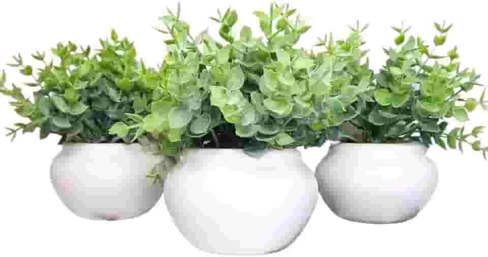 Vasinho de cerâmica com folhagem de eucalipto artificial