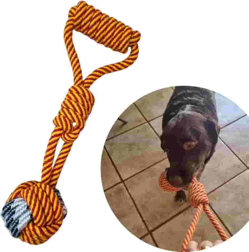 Brinquedo Puxão Corda Pet, Mordedor para Cachorro, Interativo Cachorro Médio, Grande Porte