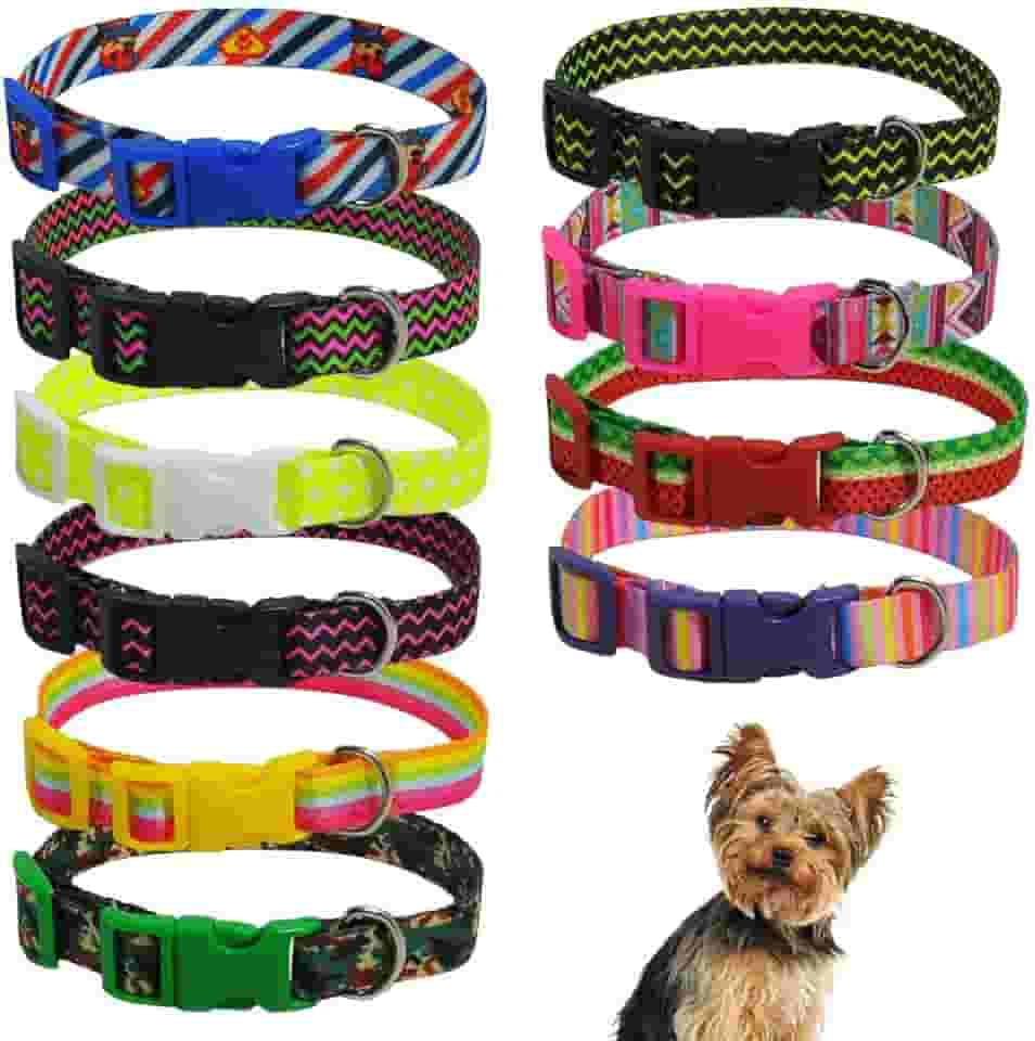 Coleira para pet cachorros filhotes de identificação cartela com 10 unidades