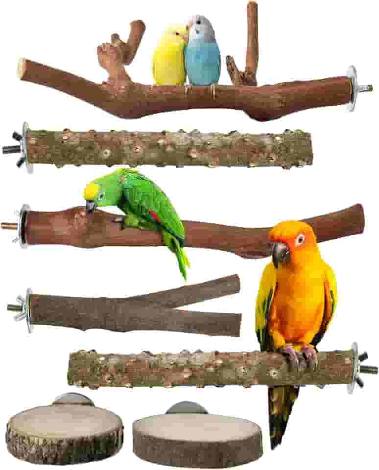 Bissap Suporte para poleiro de pássaro 7 peças, poste de madeira de uva natural, gaiola de papagaio, ramo de pata, garfo de moagem, plataforma de periquito, rede para conures, periquitos, te