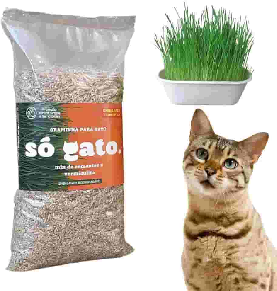 Graminha Mix Para Gatos - Embalagem Econômica - Petisco 100% Natural - SóGato