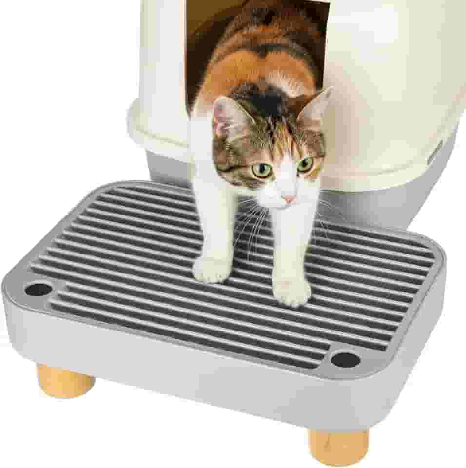 Caixa de areia para gatos com base de madeira antirastreamento e fácil de limpar à prova d'água para gatinhos e gatos idosos