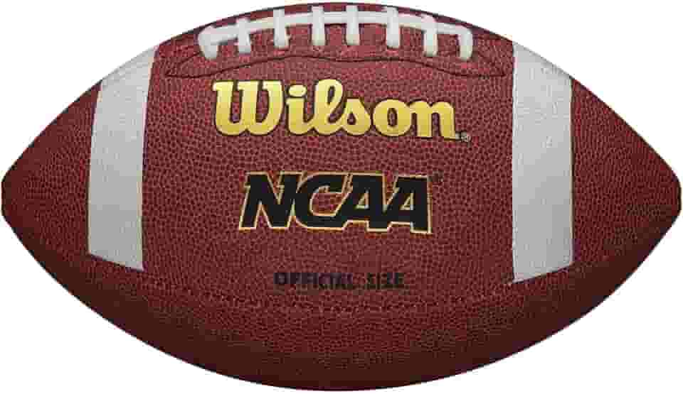 Wilson NCAA Composite Football