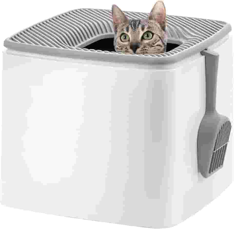 IRIS USA Premium Caixa de areia para gatos com entrada superior PRCL-SQ, branca