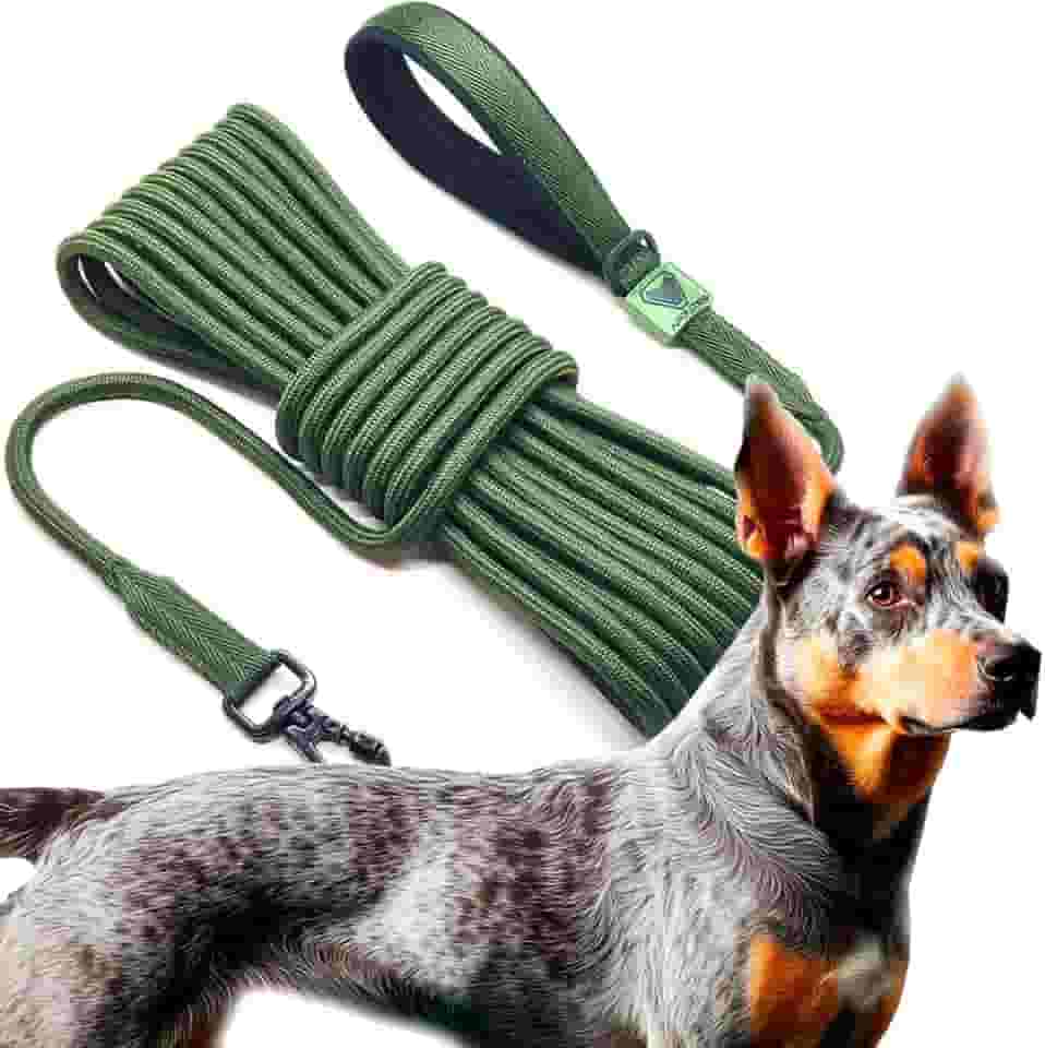 GUIA LONGA 10 METROS APOLODOG (VERDE MILITAR)