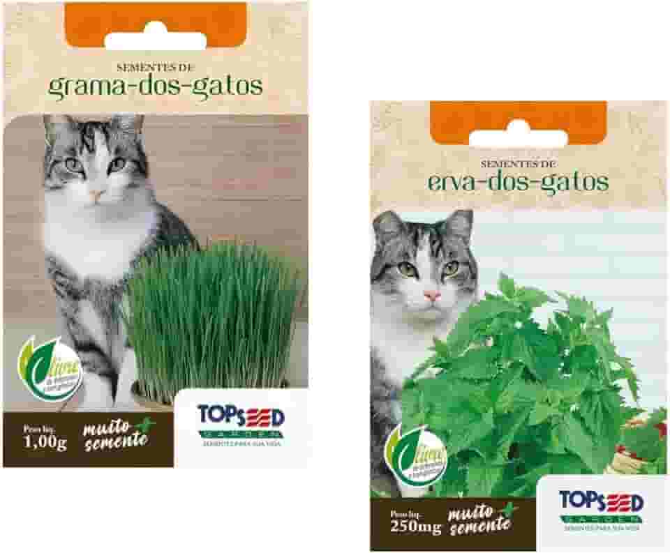 Kit 2 SACHÊS De Sementes De Grama E Erva Dos Gatos Catnip 1000 sementes de cada
