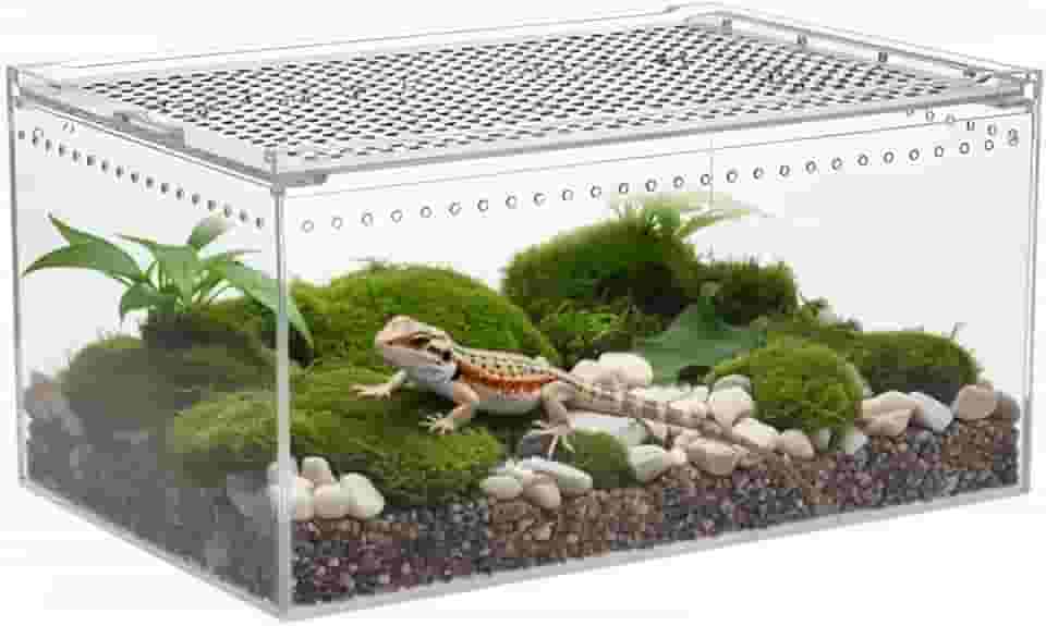 Caixa de terrário para répteis, caixa de reprodução de tarântula acrílica de 30 x 20 x 15 cm, gaiola de aranha saltadora transparente, terrário de cobra