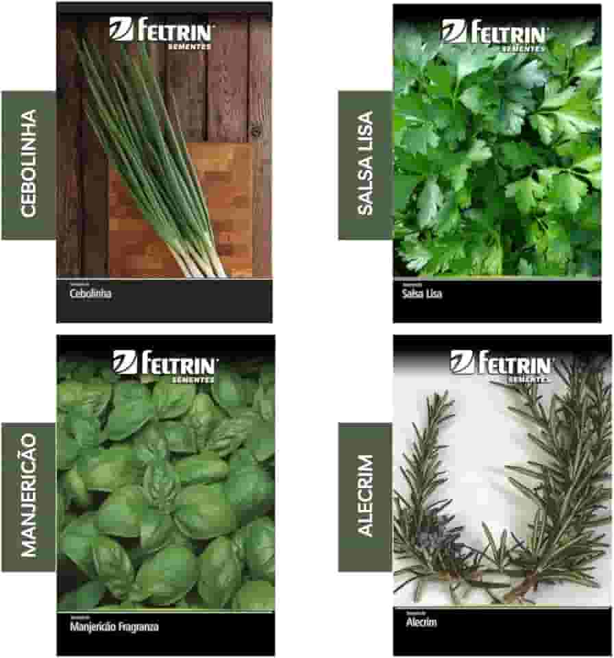 Kit 4 Sementes Temperos Horta Em Casa Jardins Vasos (Cebolinha, Salsinha, Manjericão, Alecrim)