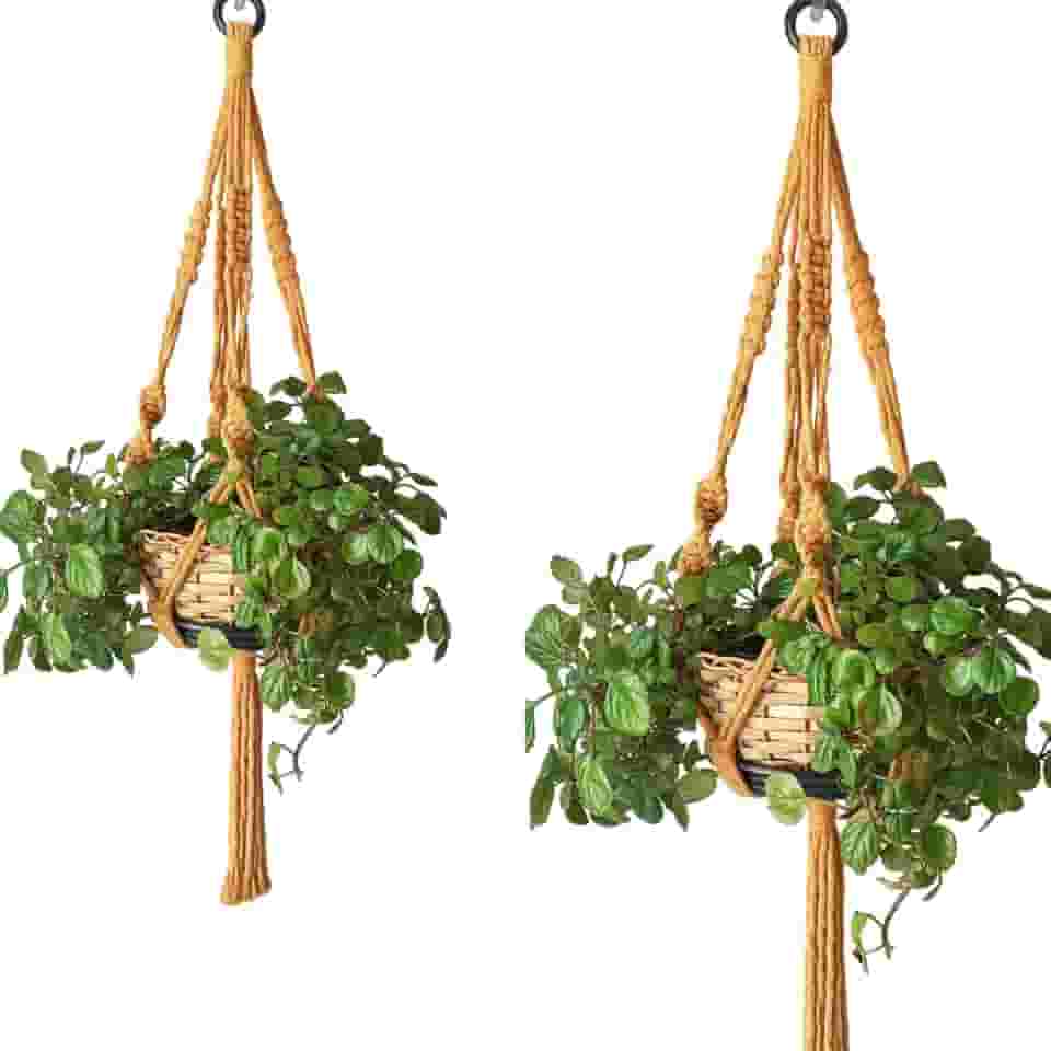 Kit 02 Suporte Corda Para Vasos de Planta 70 cm Cor Mostarda