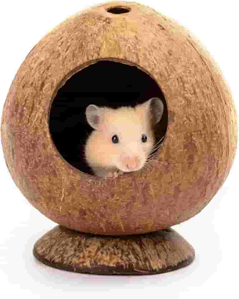 andwe Cama de casa de hamster de coco para camundongos gaiola de animais pequena decoração de habitat