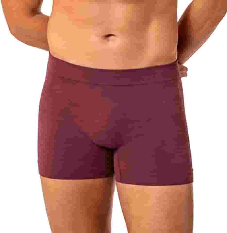 Cueca Boxer Lupo Sem Costura Microfibra Poliamida Original