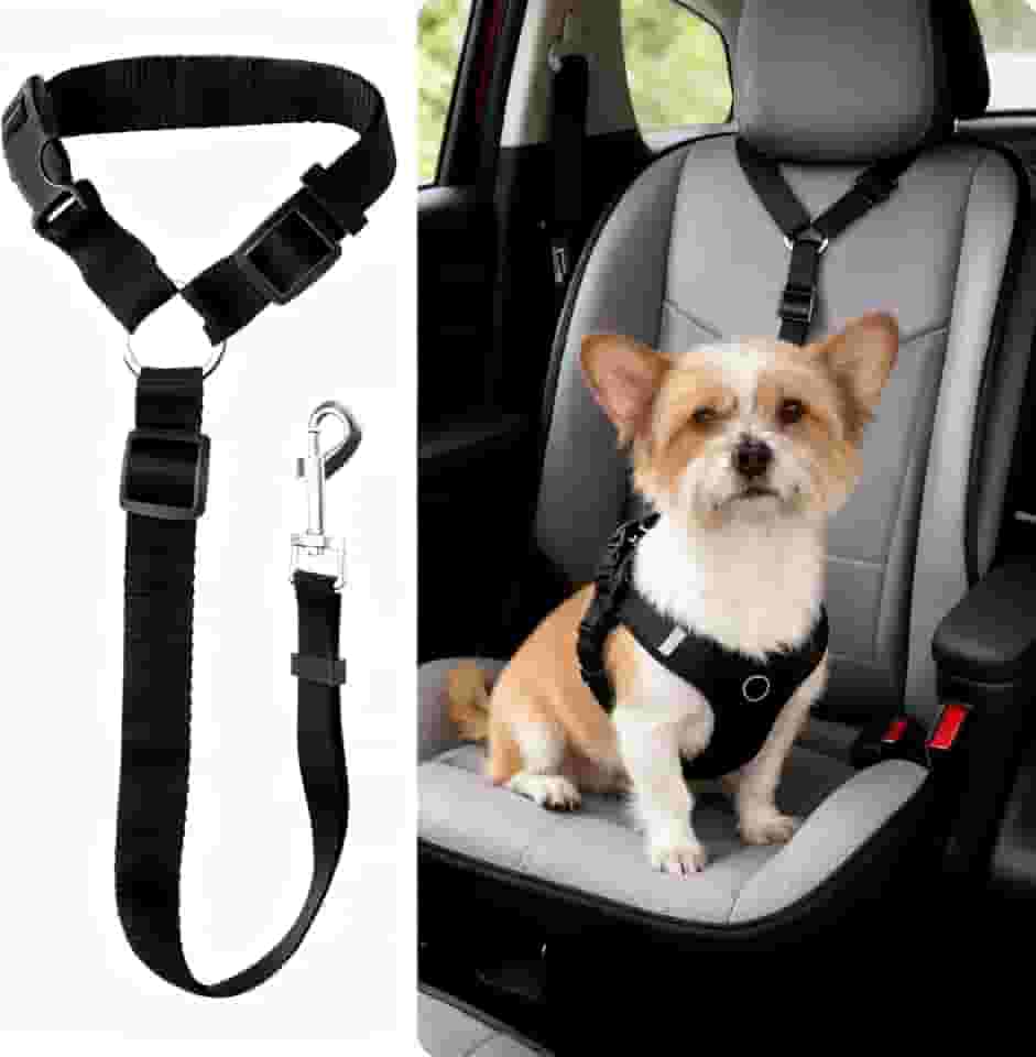 Cinto de segurança de veículo para cães – Coleira ajustável para carro de animais de estimação de 38 a 54 cm - Preto