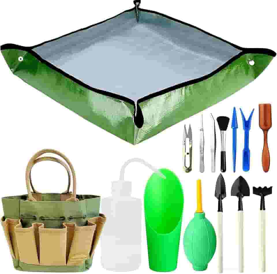 Kit de 13 peças suculentas com bolsa organizadora, conjunto de ferramentas de jardinagem para uso interno, kit de jardinagem para plantador de bonsai. Presentes suculentas, kit de iniciante de bonsai, rega suculenta, kit de ferramentas bonsai. (verde)